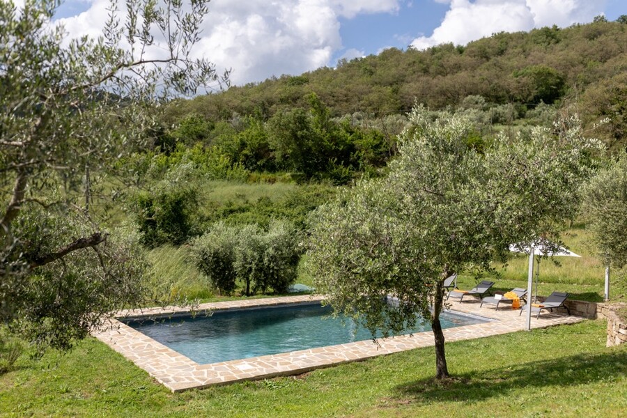 Privater Pool inmitten eines Olivenhain in Umbrien