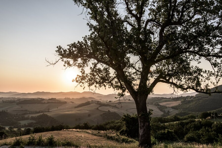 Maison-Malatesta-Le Marche-Italy-photo-Martin-Kaufmann-DSC 7105